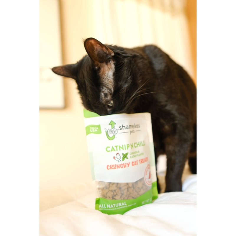 shameless pets catnip n chill crunchy cat treats 31015973421079